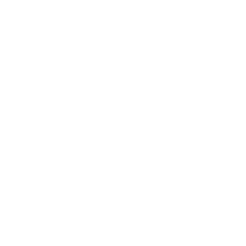 Phason 40th Anniversary logo
