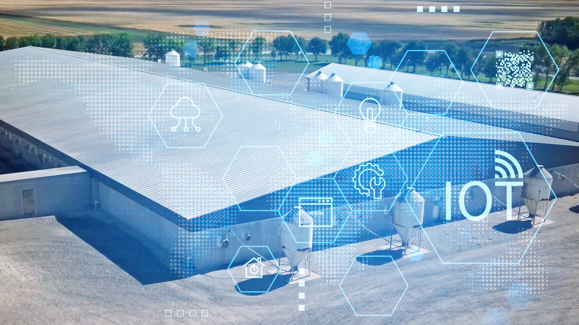 img-phason-blog-top-5-benefits-using-ventgrid-dairy-swine-poultry-farmers