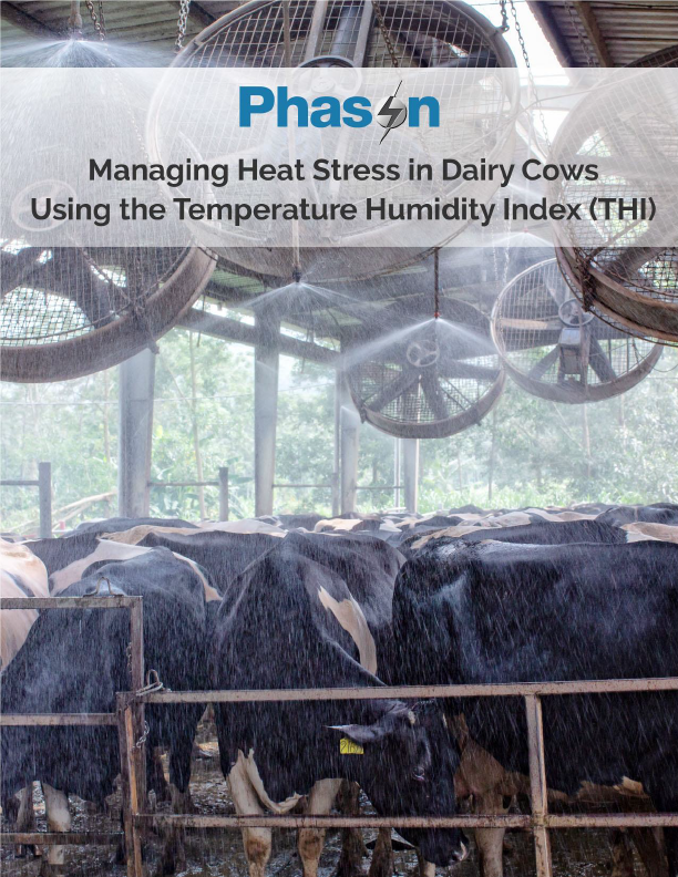 Phason-Controls-Managing-Heat-Stress-In-Dairy-Using-The-Temperature-Humidity-Index-THI-1