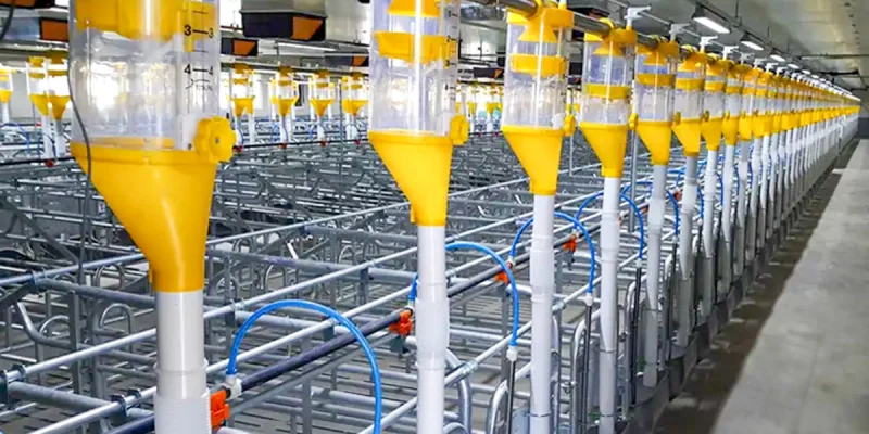 img-phason-controls-chain-disk-feeding-system-1 img-phason-controls-chain-disk-feeding-system-1