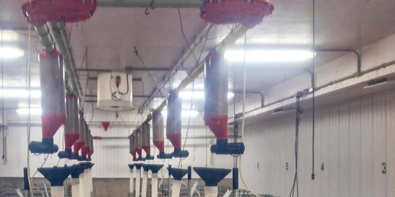 img-phason-controls-chain-disk-system-2 img-phason-controls-chain-disk-system-2